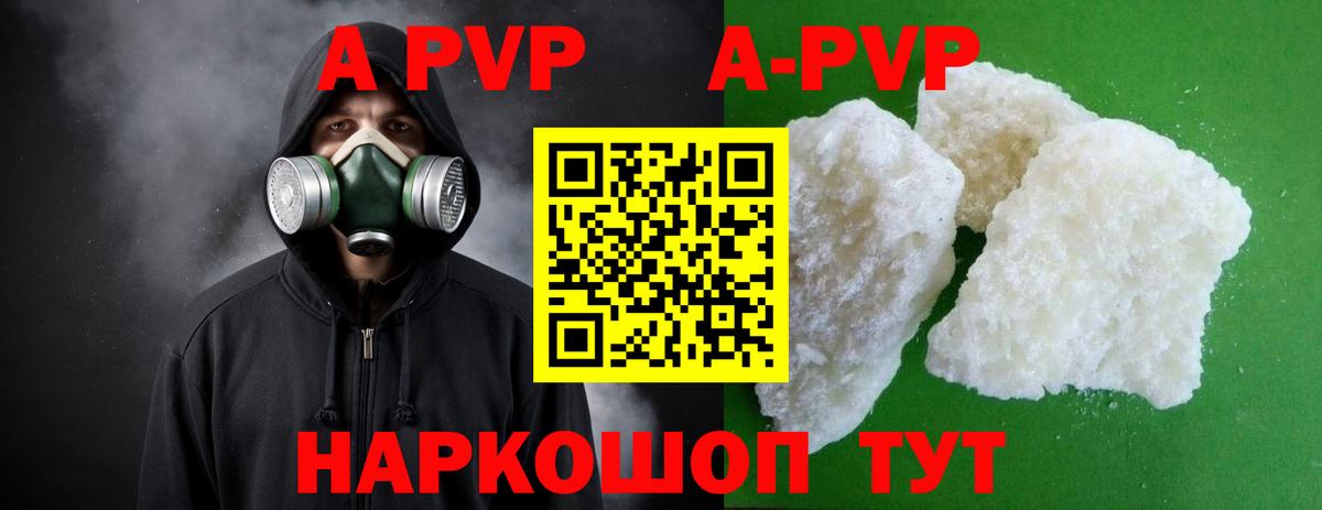 A PVP СК КРИС Белгород